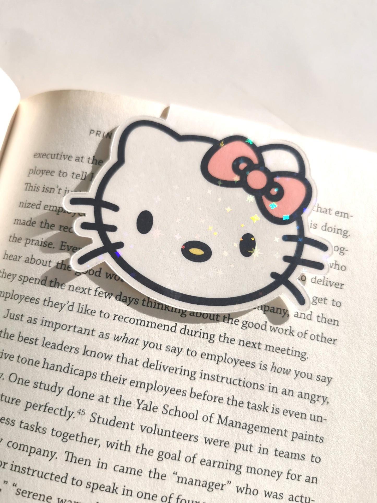 Cute Kitty Magnetic Bookmark